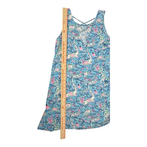 Lilly Pulitzer Dress Womens XL Kristen Swing Lilly Loves Cape Cod Bali Blue Prep - Picture 9 of 11